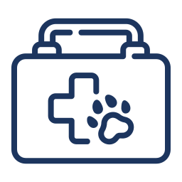 animal health case icon
