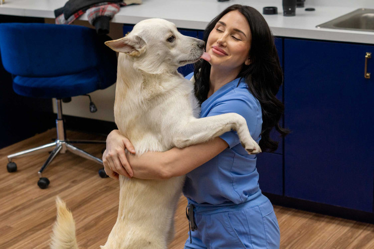 Dog licks vet's face affectionately